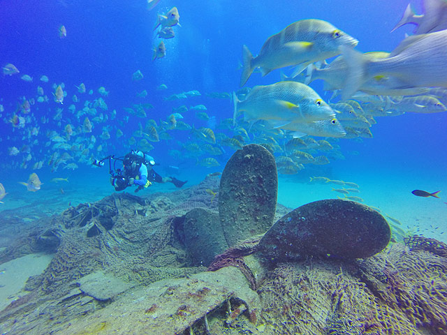 Diving near a shipwreck at Cabo Pulmo