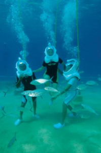 Cabo Expeditions Tours and Activities