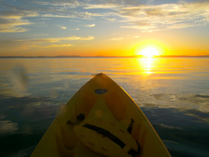 Kayaking excursion on the Sea of Cortez