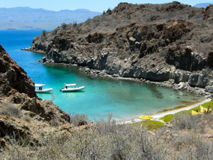 Baja Sur Eco Expedtions Mexico