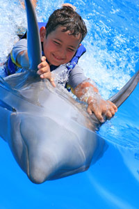 Cabo Dolphins