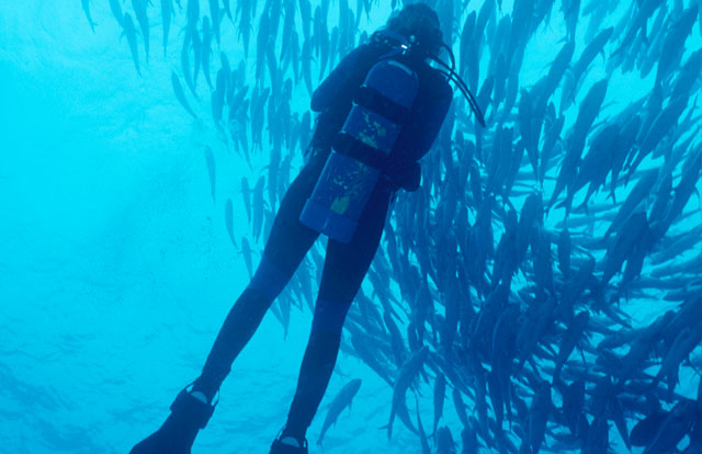 Scuba diving in Cabo San Lucas Mexico