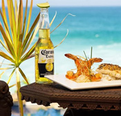 Cabo San Lucas Mexico Vacation Specials Resorts and Villas