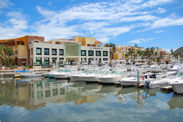 Cabo San Lucas Marina Recovery