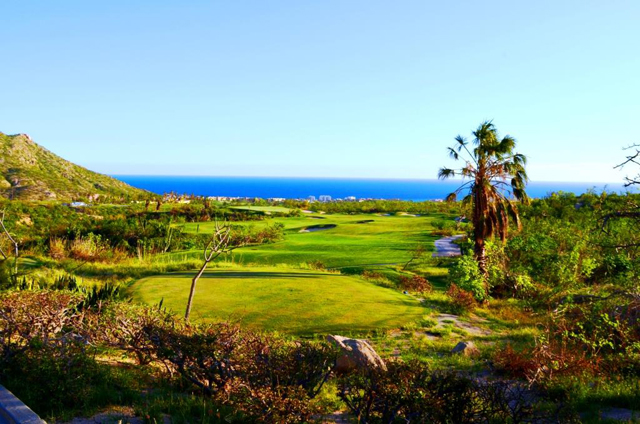 Cabo Real Golf Course Hurricane Odile Recovery Los Cabos Mexico