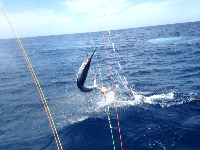 FISHING in Cabo San Lucas Mexico