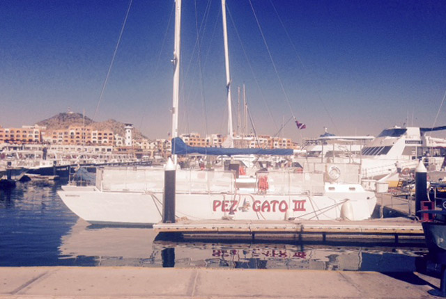 Catamaran tours in Cabo San Lucas Mexico