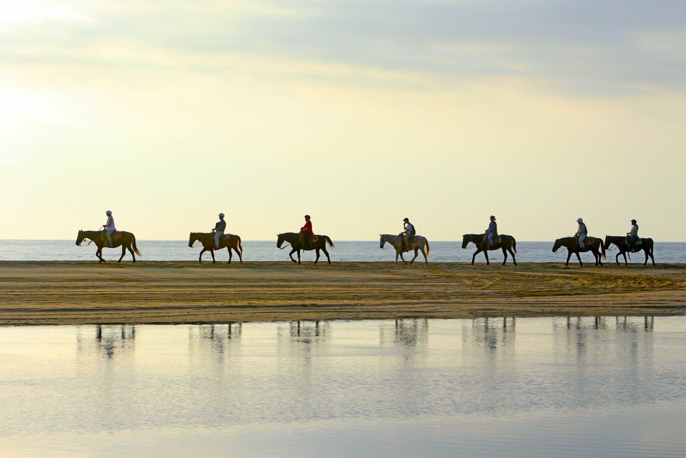 Beach Horseback Riding Tours in Los Cabos Mexico