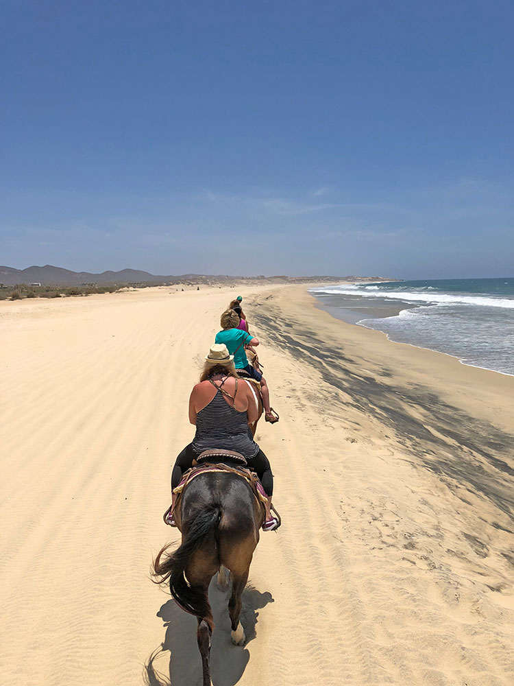 Horseback riding in Los Cabos Mexico