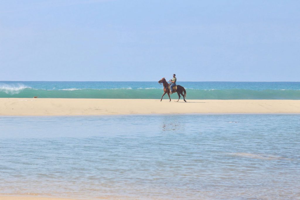 Horseback Riding Tours with Rancho Carisuva