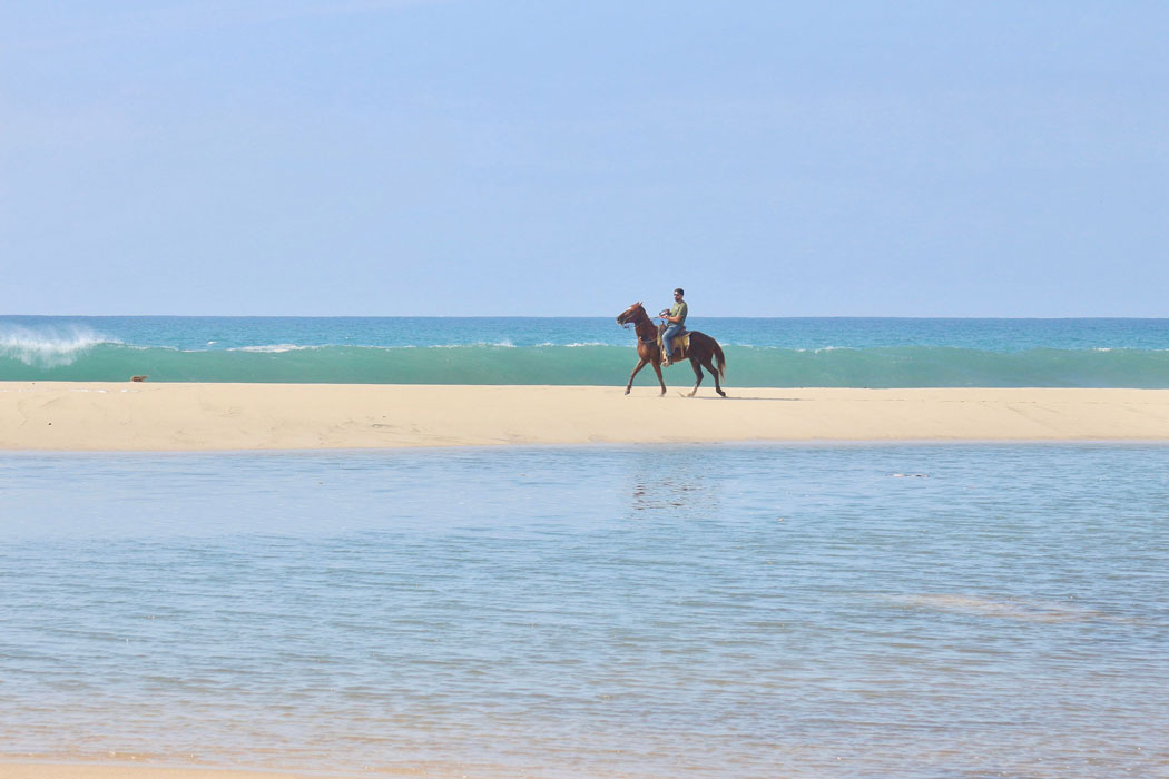 Horseback Riding Tours with Rancho Carisuva