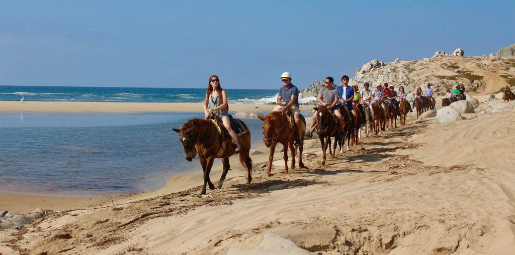 Horseback riding and ATV tours in Los Cabos Mexico