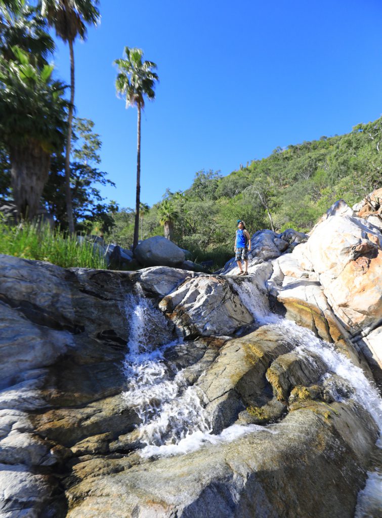 Desert hot springs and freshwater pools in Baja California Sur