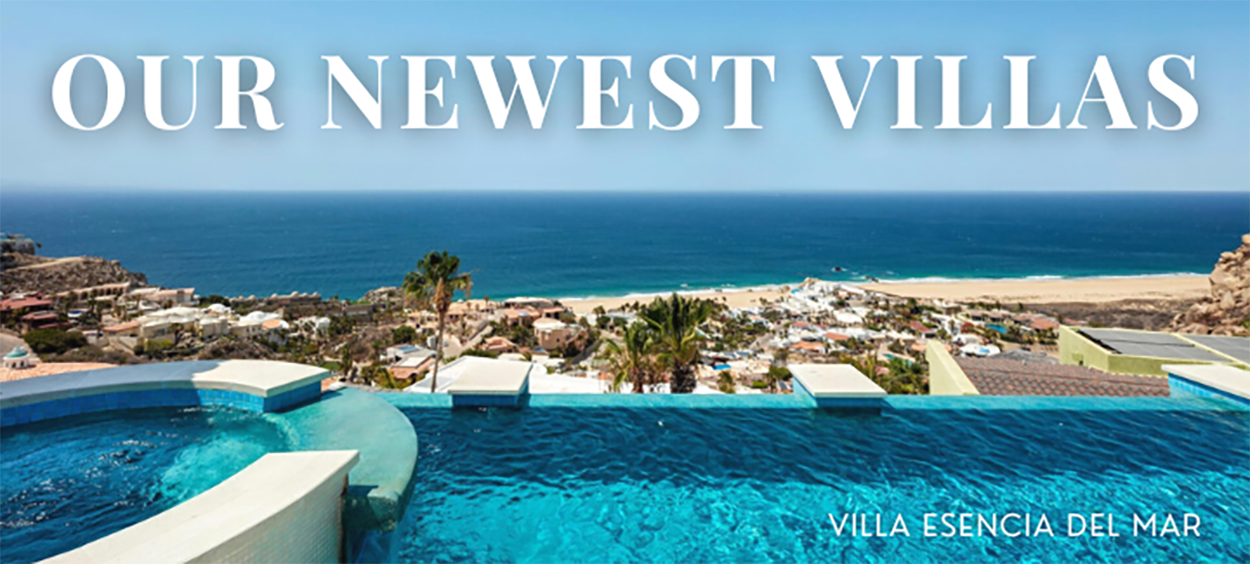 Los Cabos Mexico Luxury Villa Rentals