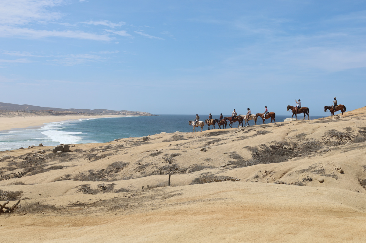 Beach Horseback riding in Cabo San Lucas Mexico with Rancho Carisuva