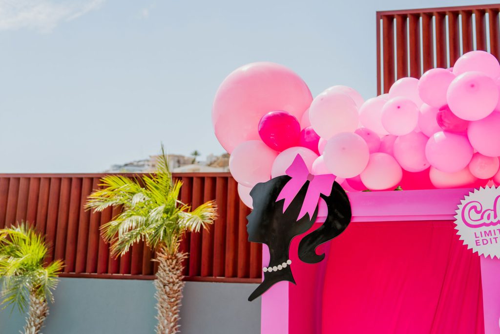 Barbie Box – LUX EVENT RENTALS