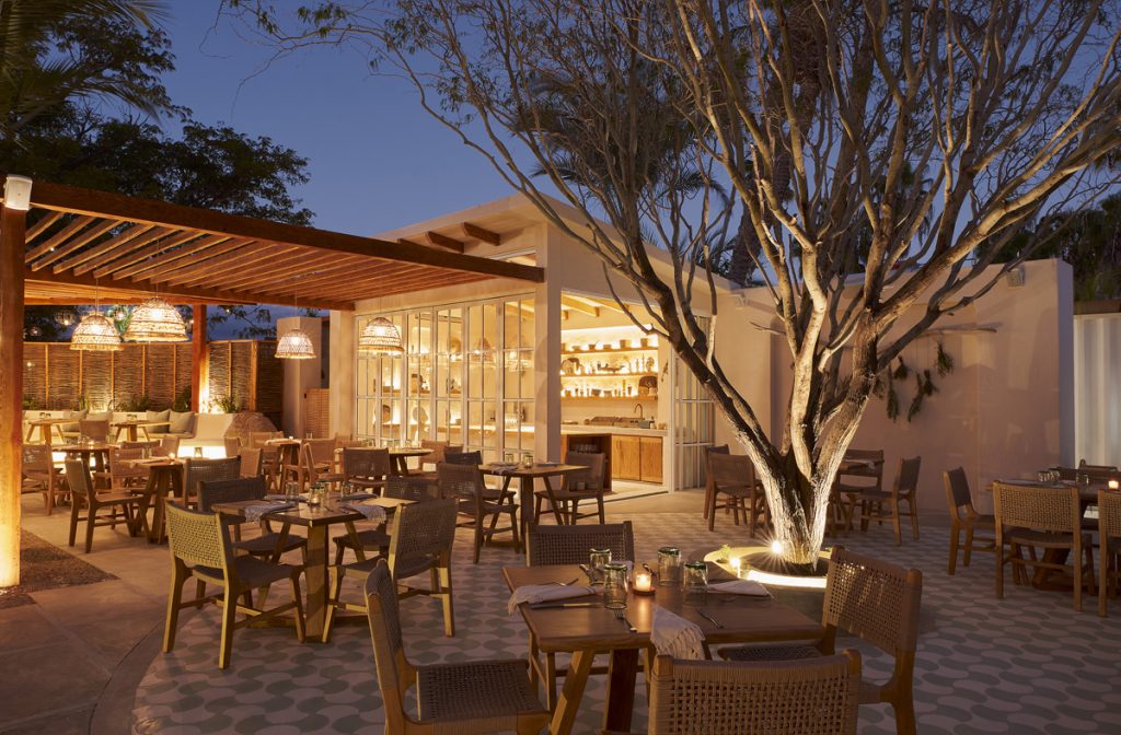 Sage fine dining restaurant in San Jose del Cabo Mexico